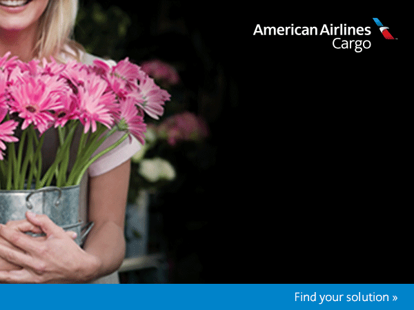 American Airlines Cargo Ad
