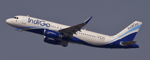 Indigo Airlines