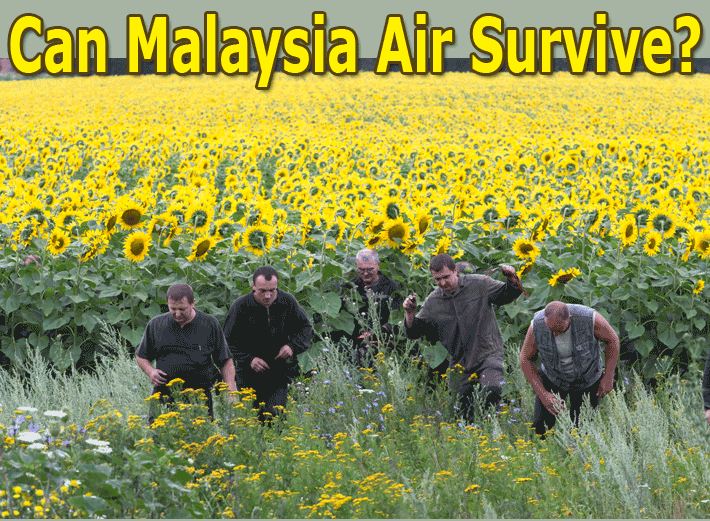 Will Malaysia Air Survive?