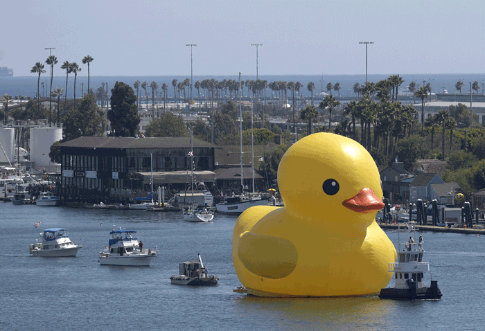 Rubber Duck