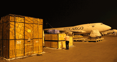 Saudia Cargo Animal Shipment