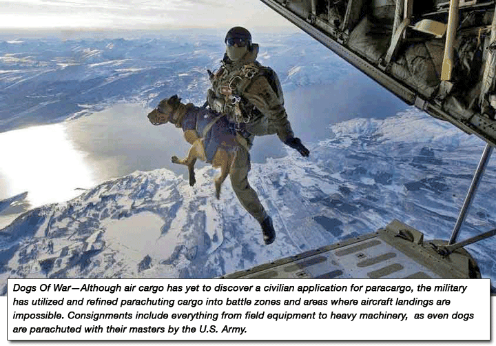 US Army Parachute Man and dog