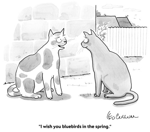Chuckles for May 30, 2014