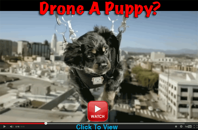 Drone A Puppy?
