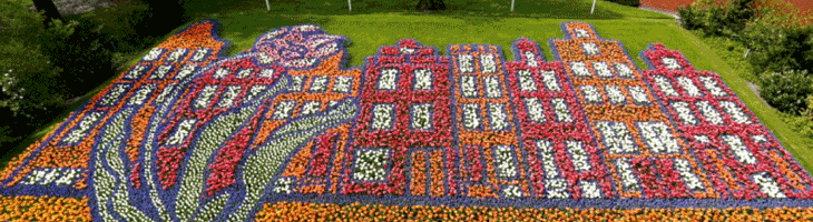 Keukenhof Holland