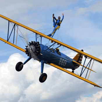 Wing Walker