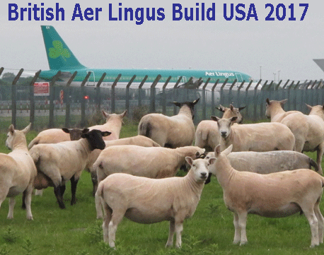 British Aer Lingus Build USA 2017