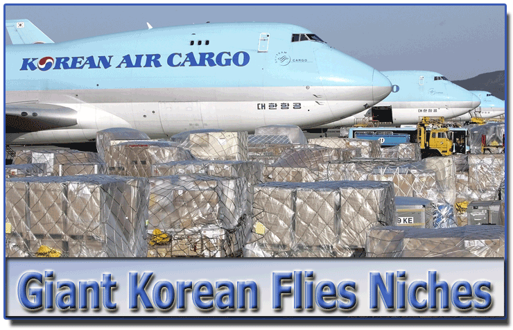 Giant Korean Flies NIche Markets