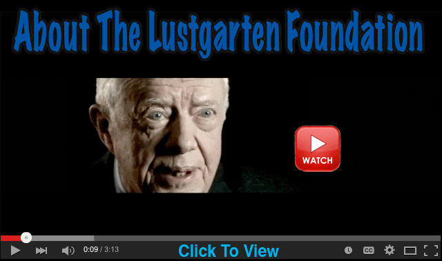 About The Lustgarten Foundation