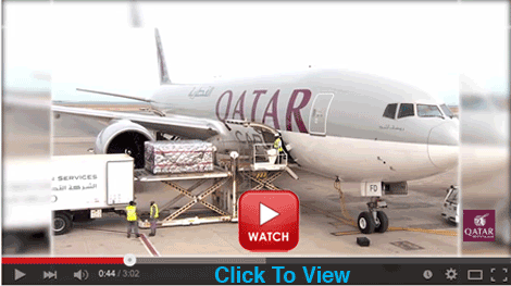 Qatar Cargo Video
