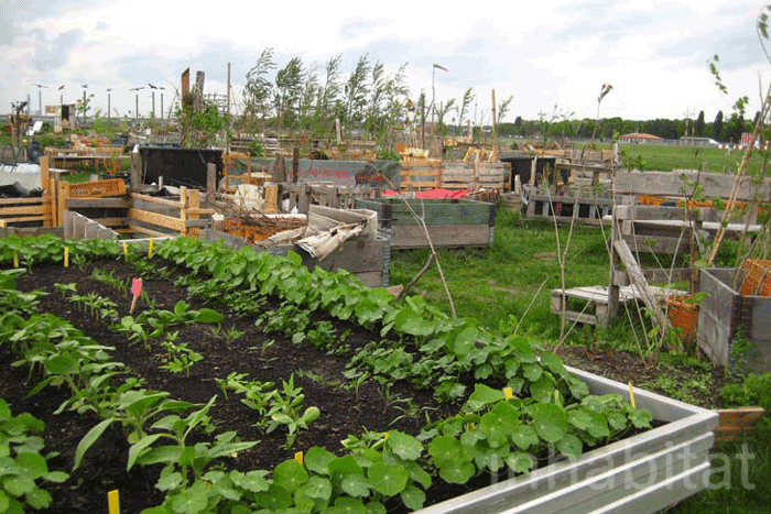 Tempelhof Gardens