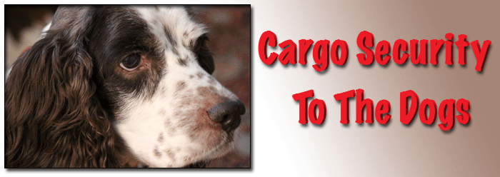 Cargo Security To The Dogs