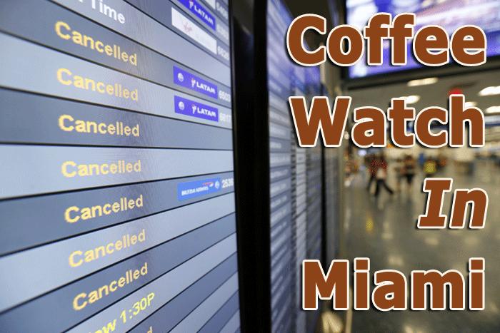 Coffee Watch In Miami