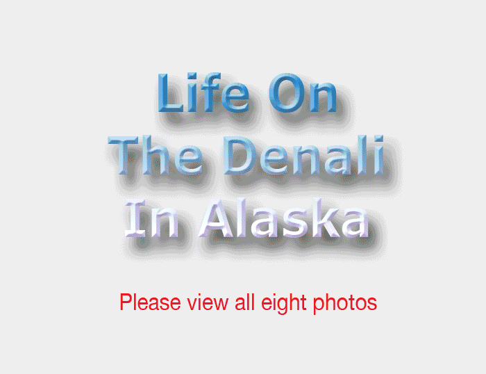 Life On The Denali