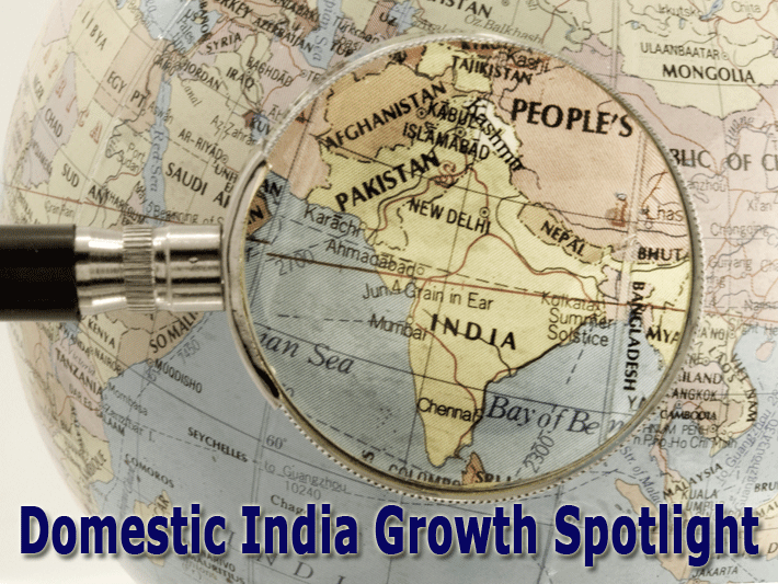 Domestic India Growth Spotlight