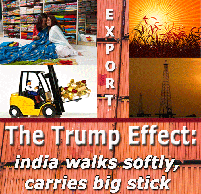 The Trump Effect: India