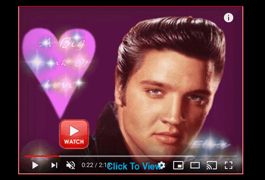 Elvis Presley Hunk Of Love