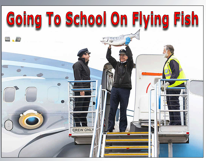 Alaska Air Going To School On Flying Fish
