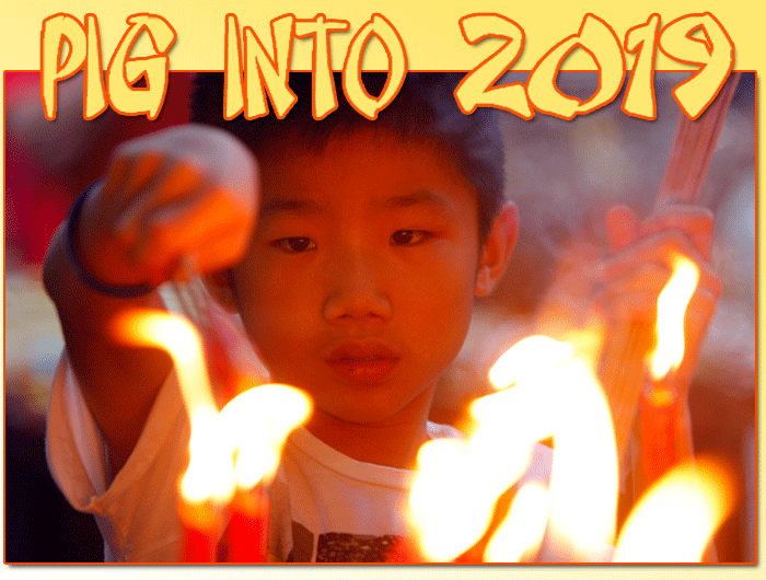 Chinese New Year 2019