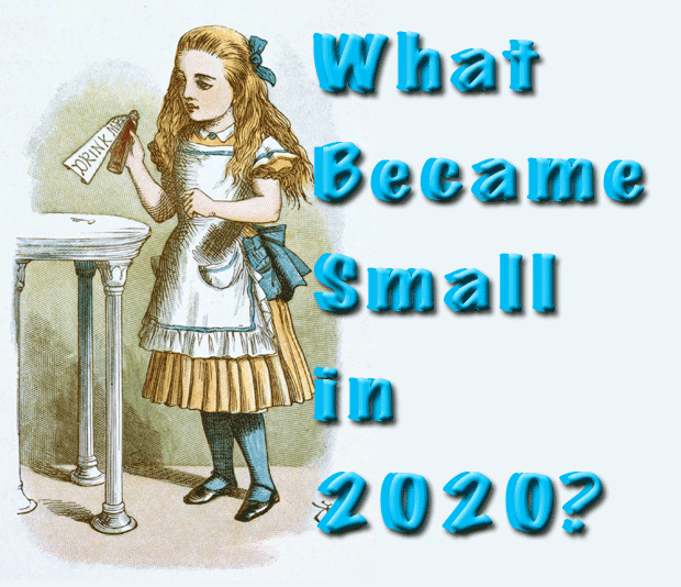 What Became Small In 2020?