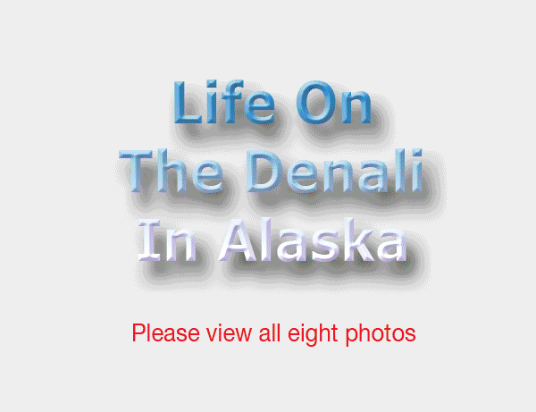 The Denali In Alaska
