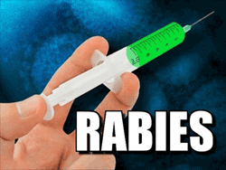 Rabies Vaccine