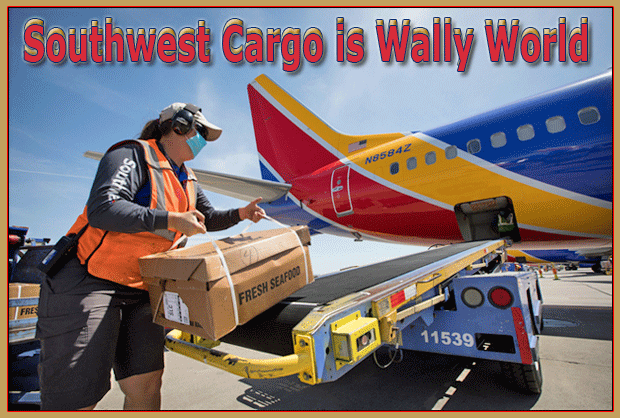 Southwest Cargo