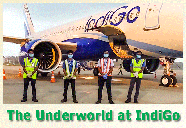 Underworld at IndiGo