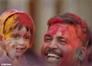 Happy Holi