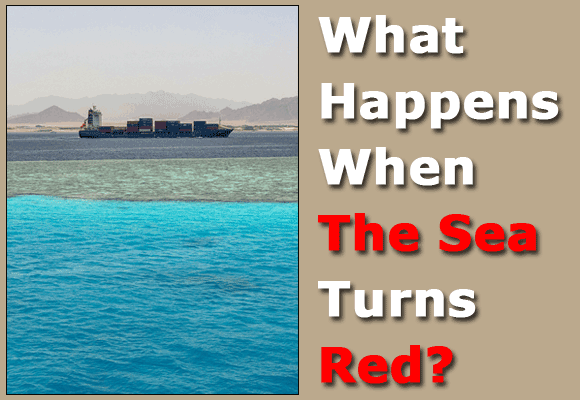 Red Sea Challenges