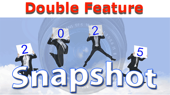 2025 Air Cargo Snapshot