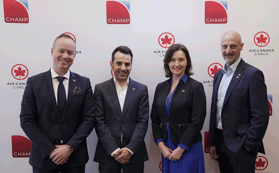 Matthieu Casey, Manuel Galindo, Janet Wallace, Nicholas Xenocostas