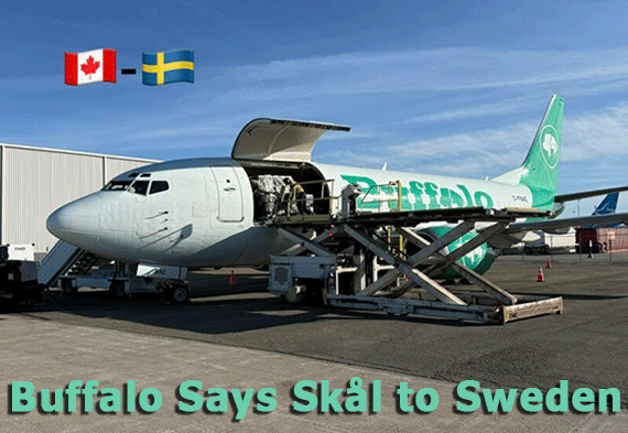 Buffalo Airways Jönköping Airport