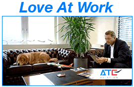 Ingo Zimmer In Office